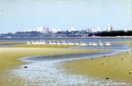 Skyline von Maputo 